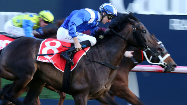 Dashing debut: Jockey Jordan Childs rides Jaameh to victory at his first Australian start in April.