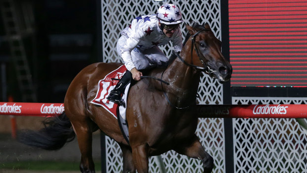 Luke Currie guides Sunlight home at Moonee Valley.