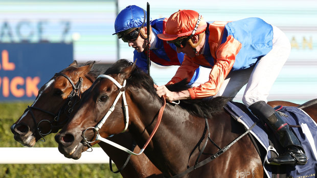 Think It Over takes out the 7 Stakes at Royal Randwick.