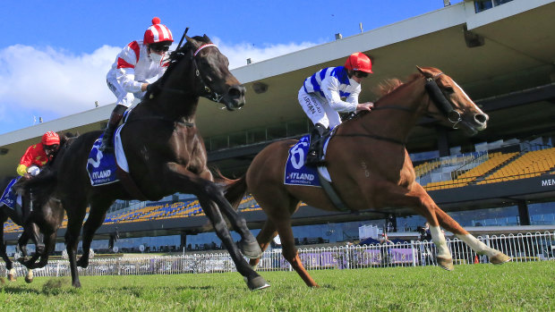 Brock Ryan and Chat (right) win the July Sprint at Rosehill in July.