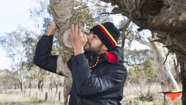 Traditional owners and local residents are protesting the destruction of trees from Ararat to Buangor.