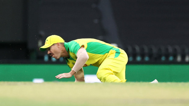 David Warner goes down injured at the SCG.