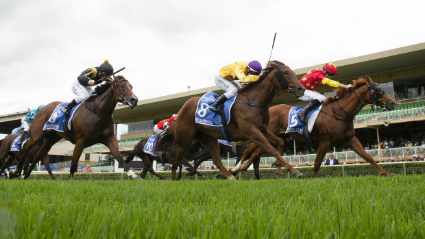 Eight races are on the card at Warwick Farm on Monday.