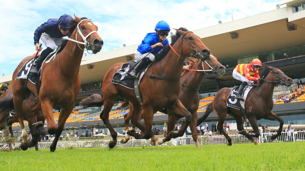 Rachel King on Zethus rides to victory in the Canonbury Stakes at Rosehill on Saturday.