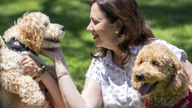 Ms Palaszczuk with her dog Winton (right) and her nephew’s dog Oakey before a press conference in Brisbane last year.