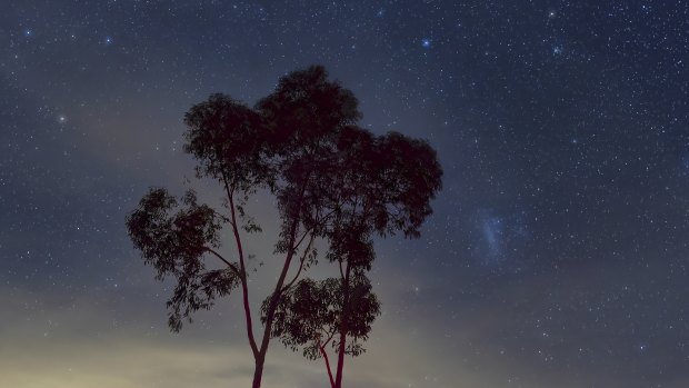 The night sky at Lady’s Pass near Heathcote.