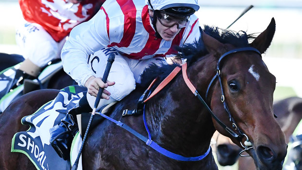 Tim Clark guides Shoals to victory in the Robert Sangster Stakes.