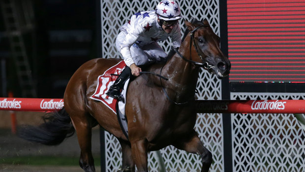 Underrated: Sunlight wins the William Reid Stakes at Moonee Valley.