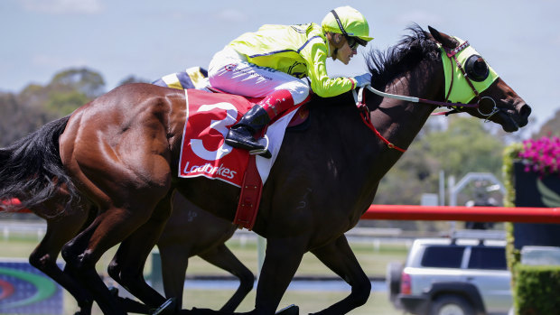 Craig Williams was charged for going too far with the whip in his winning ride on Yogi at Sandown.