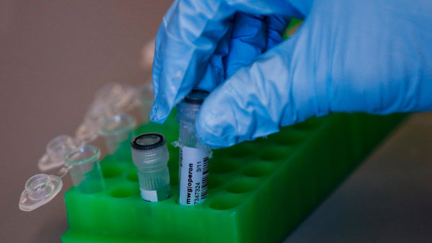 Professor Matthew Porteus, holds test tubes of DNA.