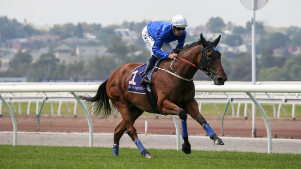 All-Star Mile favourite Alizee. But then there are the bargain entries.