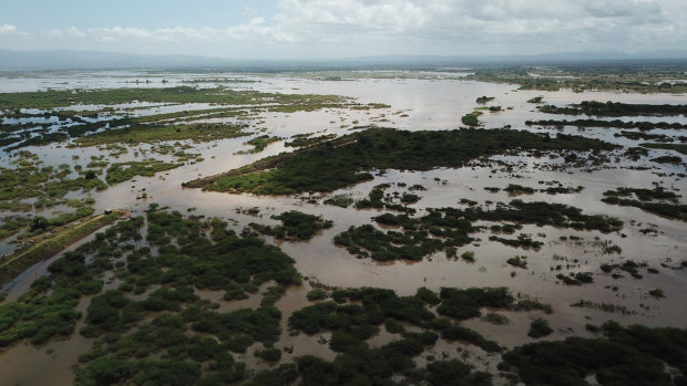 Flood waters cover large tracts of land in Nicoadala, Zambezia, in Mozambique. Rapidly rising floodwaters have created "an inland ocean" in the country.