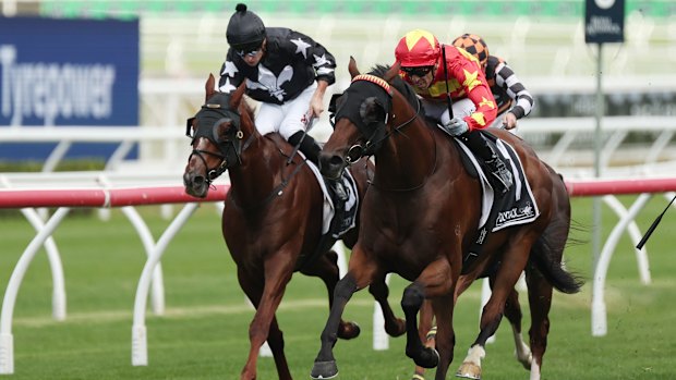 Ashley Morgan rides Matcha Latte to victory on Saturday.