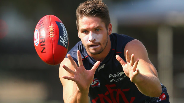 Jesse Hogan in his time with the Demons.