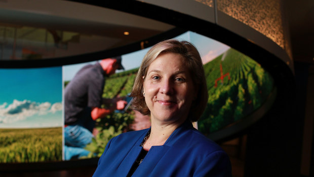 Australian-born Robyn Denholm resigned as Telstra's chief financial officer to take up the chair at Tesla. 