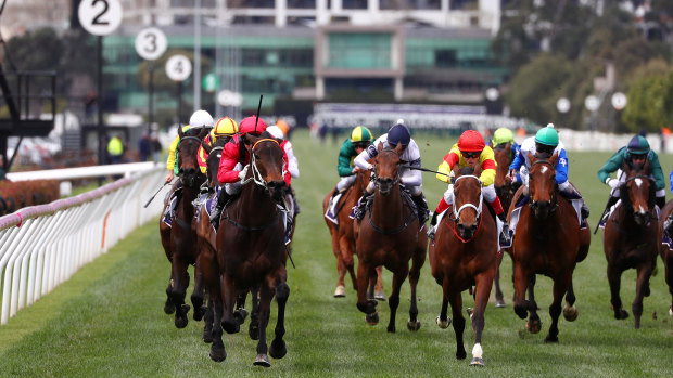 Leader of the pack: Brenton Advulla (first left) out front on Smart Melody the Cap D'Antibes at Flemington.