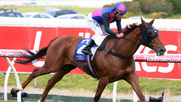 Forgotten: Vega Magic is ready to fly first-up in the TJ Smith at Randwick on Saturday