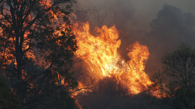 A bushfire rages near the rural town of Canungra in the Scenic Rim region.