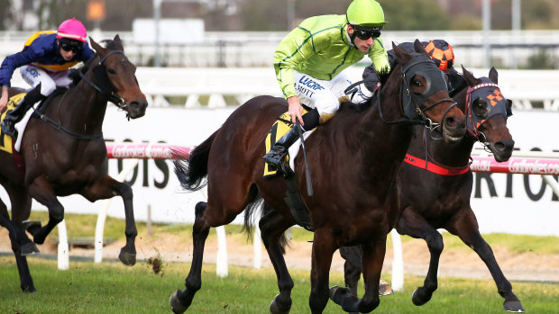 Self Sense wins during Bletchingly Stakes Day at Caulfield last year.