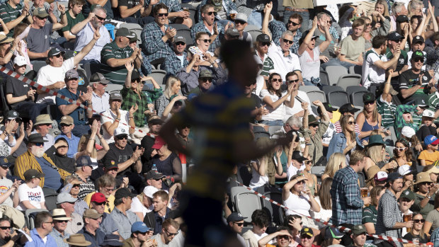Fans watch on at last year's Shute Shield final between Sydney University and Warringah. 