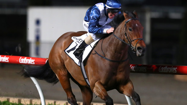 Locked in: Viddora wins the Moir Stakes at Moonee Valley