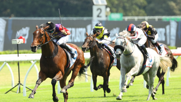 Gilded Water racing to an easy win on Saturday at Randwick.