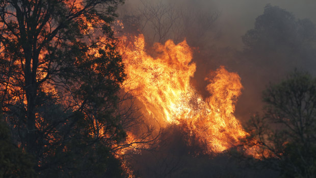A bushfire rages near the rural town of Canungra in the Scenic Rim region.