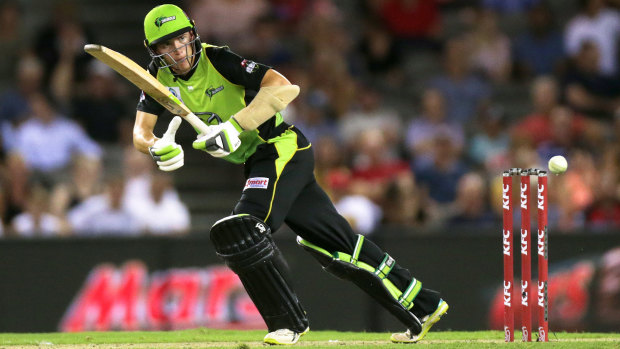 New blood: Baxter Holt in action for the Sydney Thunder. 