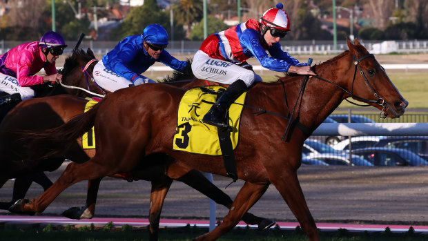 Oldie a goodie: Nine-year-old Magic Consul sweeps around the field to win at Moonee Valley.