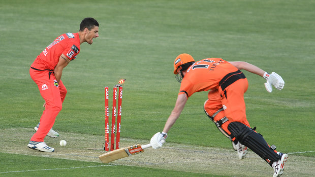 Benny Howell appeals for a run-out against the Scorchers on Saturday.