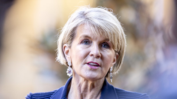 Foreign Minister Julie Bishop has decided to not contest the next election.