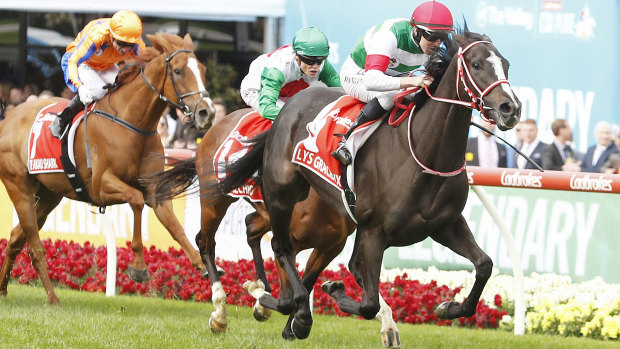 We’re home: Lys Gracieux runs clear at the finish of the Cox Plate. 
