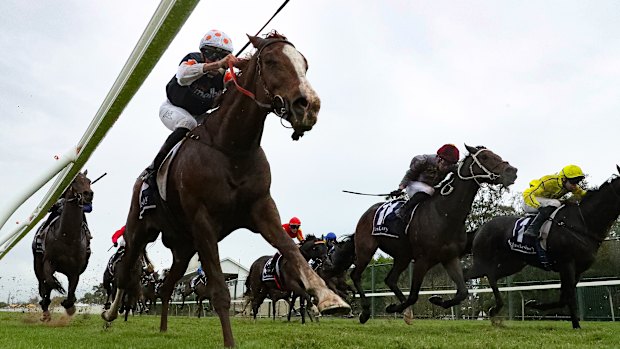 Racing returns to Hawkesbury on Thursday.