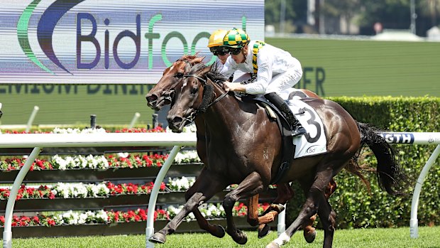 O demandante ganhou três de três.