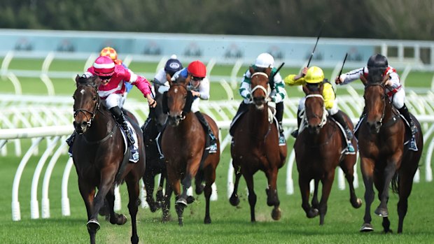Racing returns to Coffs Harbour on Sunday.