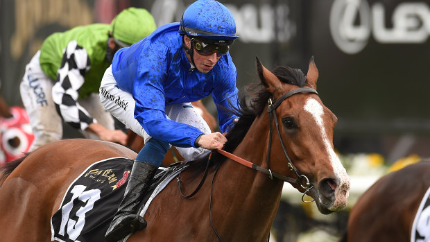 Flying: Pohutukawa  could give James Cummings and Godolphin another group 1 in the Tatts Tiara. 