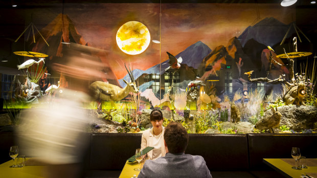 A section of Natural History's impressive 12-metre diorama.