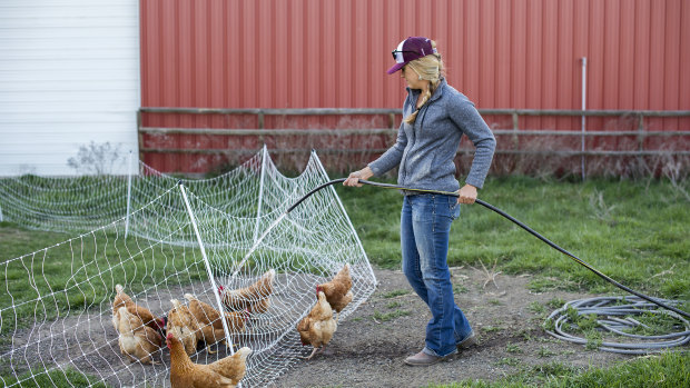Barb Bartlett, a Stanford graduate, does chores at 6 Ranch in Enterprise, Oregon, after a day of work at Carman Ranch in nearby Wallowa.