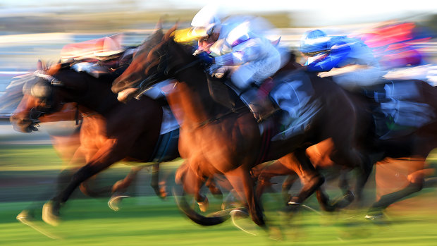 Horses race to the finish in a UBET-sponsored race at Brisbane's Doomben Racecourse last year.