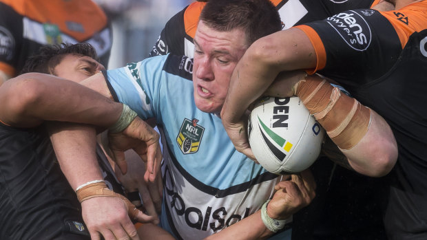Big rig: Paul Gallen barges over the line to score against the Tigers.
