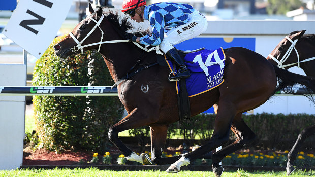 Pole position: Caulfield Cup favourite Youngstar wins the Magic Millions in May.