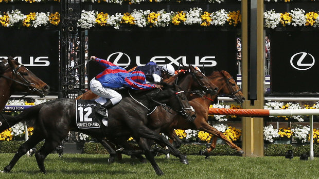 Vow And Declare puts his head out to win the Melbourne Cup last year. 