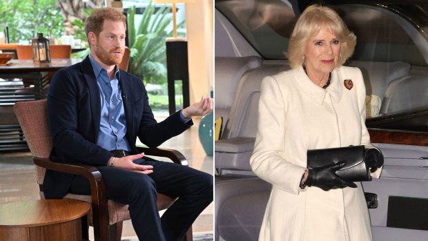 I know Queen Consort Camilla – and Prince Harry’s smears have just sealed his fate