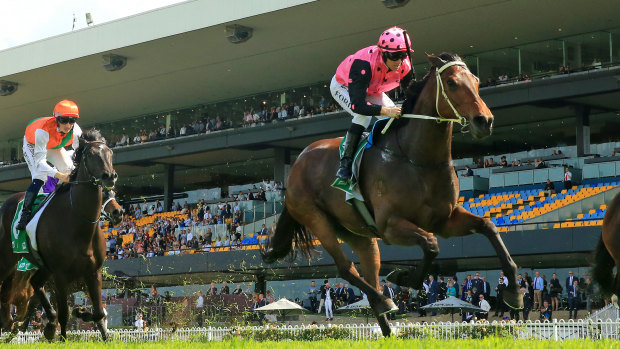 Costello romps home in the Rosehill Gold  Cup.