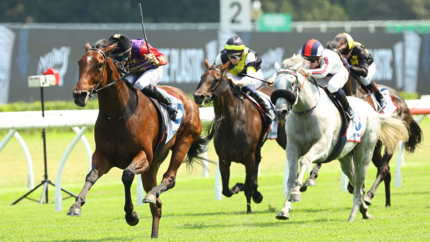 Gilded Water races to an easy win at Randwick on December 21.