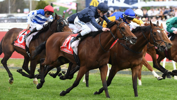 Black Heart Bart (centre, blue cap) defied his age to narrowly miss making it two group 1s on the hope.