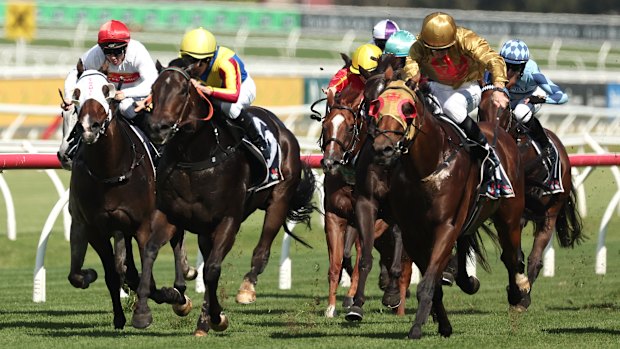 O castrado escrito Tycoon Mailata (segundo a partir da esquerda) estará entre os favoritos na final em Gosford.