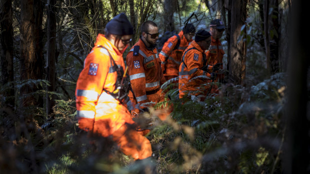 SES volunteers searching thick bushland for William Callaghan on Tuesday.