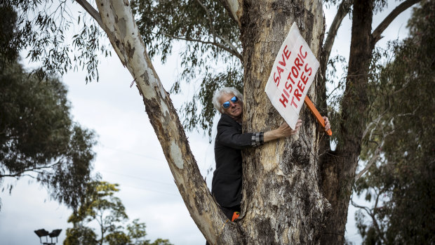 Stan Wollmering, a local resident, protests the proposed removal of the trees and razing of Gandolfo Park for the level crossing works on the Upfield line, Coburg.