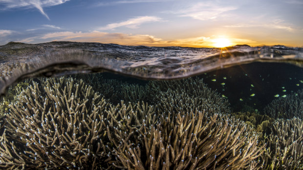 Ningaloo Reef.